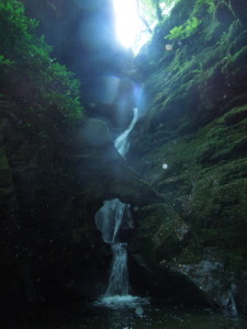 DSCN0922